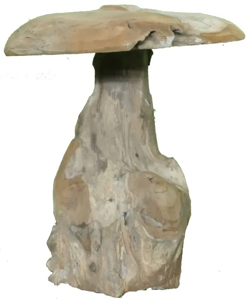 Pilz, Höhe ca. 30 cm. Hergestellt aus Teakholz Wurzel (Plantage). Modell S ist 30cm Höhe und Durchmesser 30cm - 5 kg. 